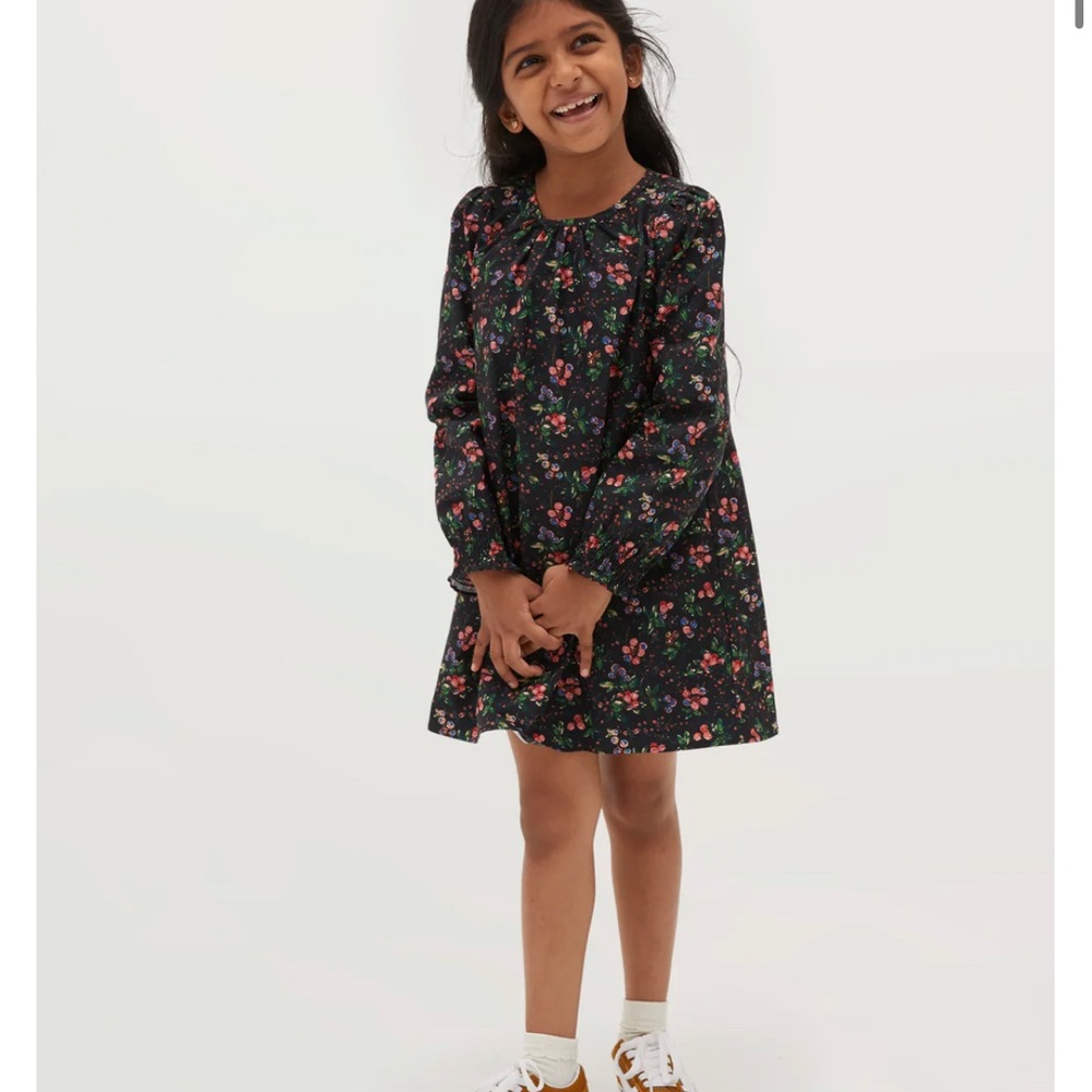 NWOT Hill House Home the Tiny Eloise dress in multi berry crepe size 3/4y